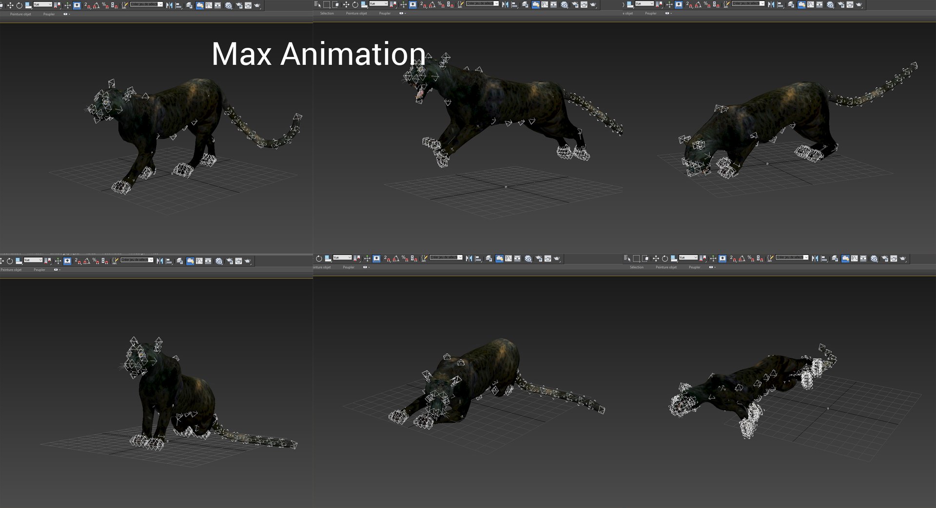 panther rigged animation 3D https://p.turbosquid.com/ts-thumb/Uw/O1XpXf/f6jOUb4m/maxanim/jpg/1526884460/1920x1080/fit_q87/7c3beb7e90d37a64154ae428f009f5d0a67fce98/maxanim.jpg