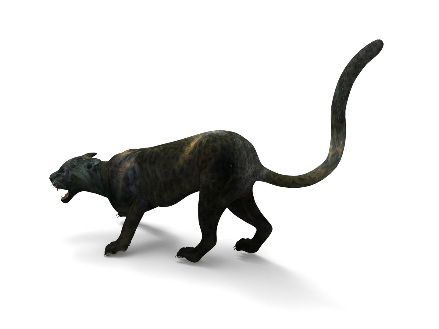 panther rigged animation 3D https://p.turbosquid.com/ts-thumb/Uw/O1XpXf/h29u5gY0/panther.855/jpg/1526884067/1920x1080/fit_q87/4d4278eaa718a587d39ee8269a8db7044cce3f64/panther.855.jpg