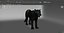 Black Panther Rigged And Animated