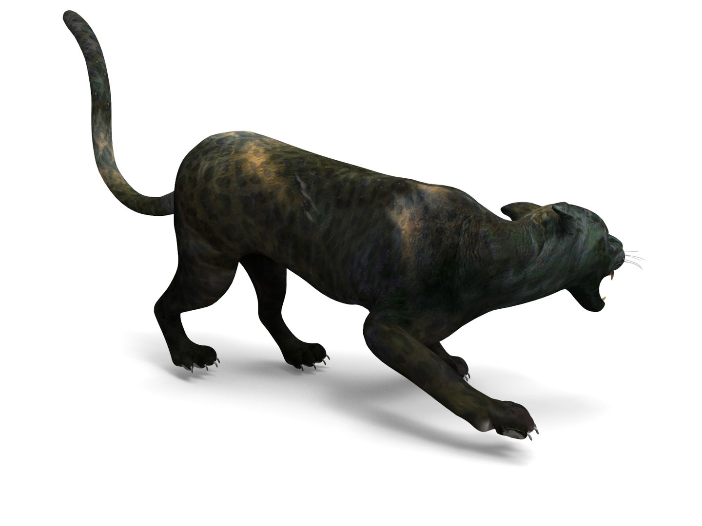 panther rigged animation 3D https://p.turbosquid.com/ts-thumb/Uw/O1XpXf/oFeY6CwG/panther.853/jpg/1526884067/1920x1080/fit_q87/77791b2dbcf577ace058cb3bef8c88a91502c779/panther.853.jpg