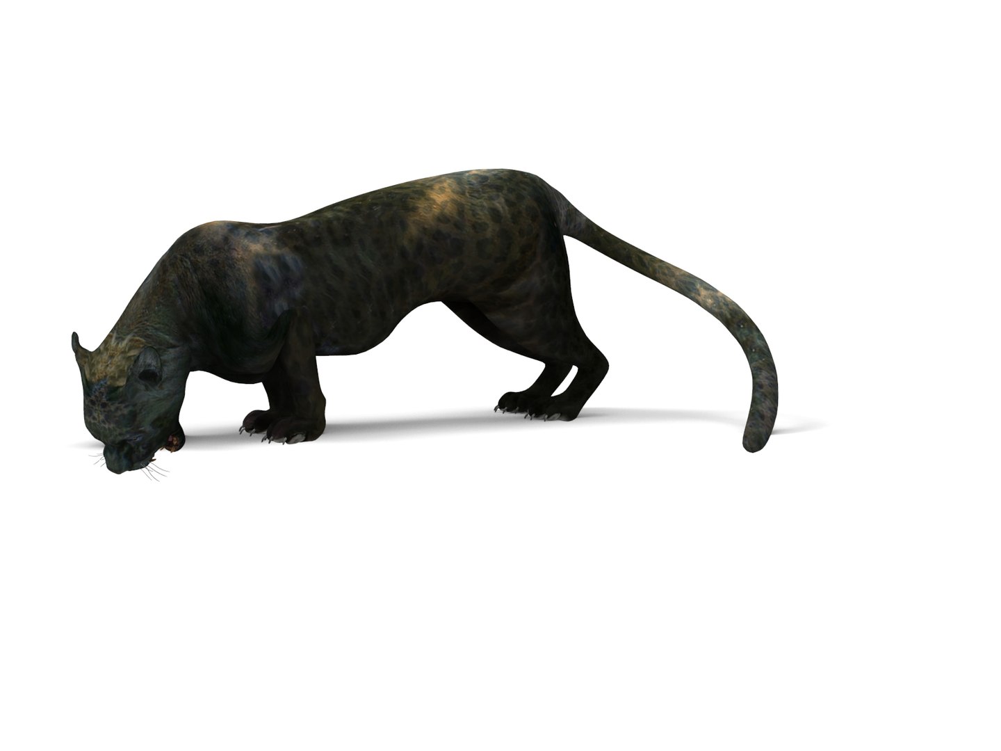 panther rigged animation 3D https://p.turbosquid.com/ts-thumb/Uw/O1XpXf/oMTLcNmo/panther.953/jpg/1526884067/1920x1080/fit_q87/9942dbf8dcd467550abc9ebaa262e4280b30a779/panther.953.jpg