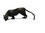 Black Panther Rigged And Animated