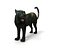 Black Panther Rigged And Animated