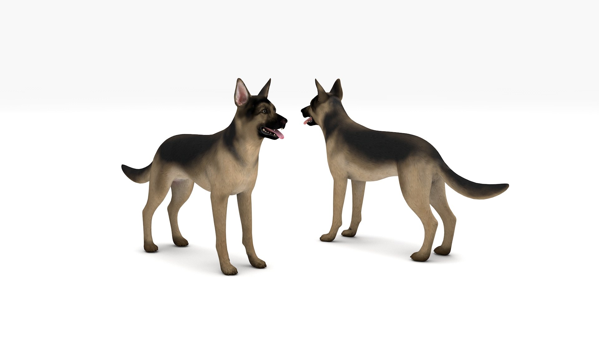 Shepherd 3D Model - TurboSquid 2086890