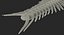 Fish Vertebrae Bones 3D Model