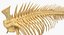 Fish Vertebrae Bones 3D Model