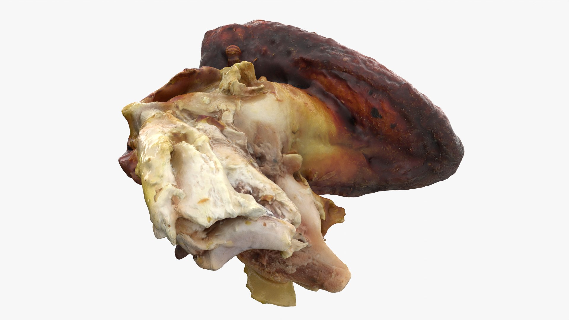 Roasted Chicken Collection 3D https://p.turbosquid.com/ts-thumb/Uw/ejRY8r/a8/chickenwing_01/png/1788408971/1920x1080/fit_q87/6dc3f71905748bc10377abd9a33426e6879e774d/chickenwing_01.jpg