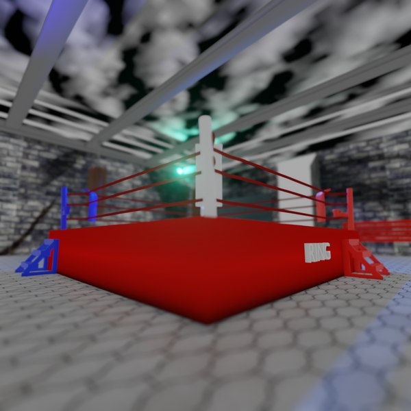 3D Ring boxing