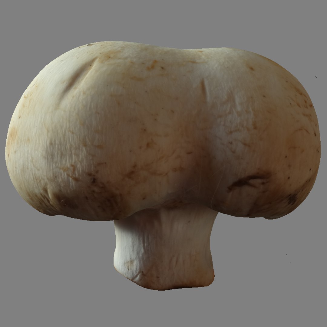 3d Model Of Mushroom