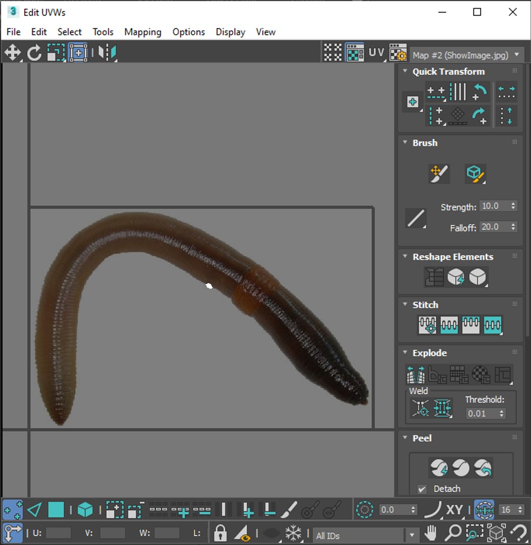 Earthworm 3D - TurboSquid 2280193