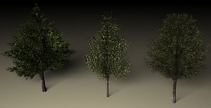 3d trees
