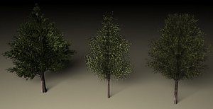 High + low poly trees