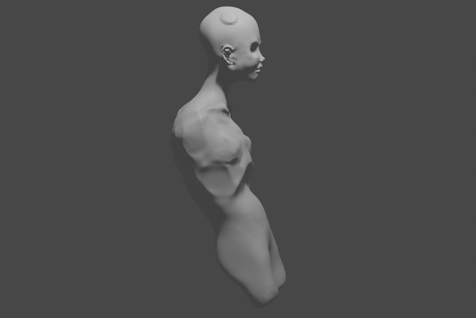 Torso of a female mannequin 3D model https://p.turbosquid.com/ts-thumb/Uw/v2C0NW/i6/5/jpg/1670681347/1920x1080/fit_q87/0b6952381e1a097a7785ddf9d5ed3013b10b7ace/5.jpg