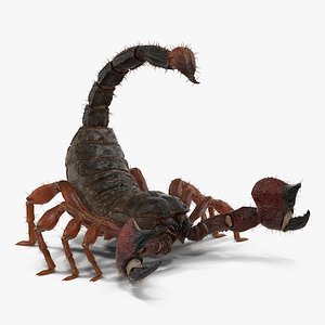scorpion rigged fur 3d max