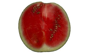 half watermelon 3D model