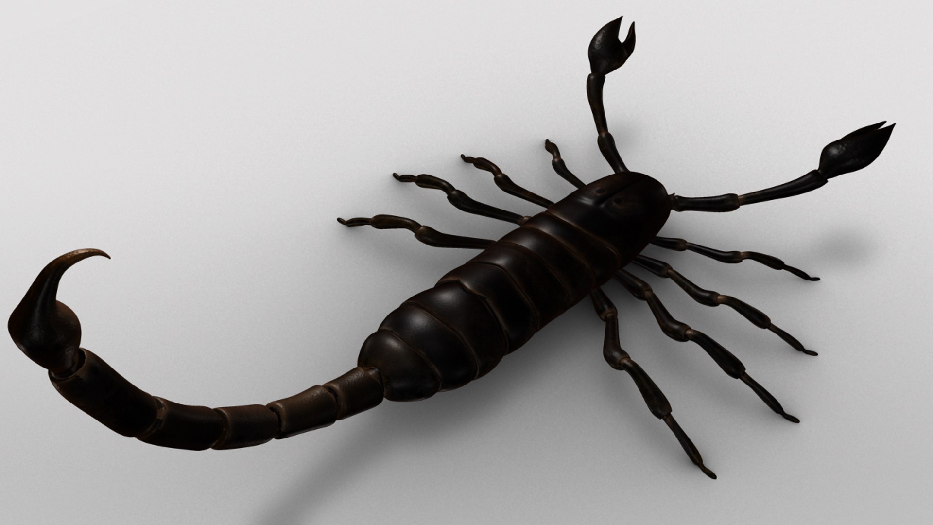 3d model palamnaeus