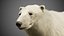 Polar bear animated 3D model