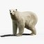 Polar bear animated 3D model