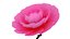 Animated Camellia Flower Bloom 3D