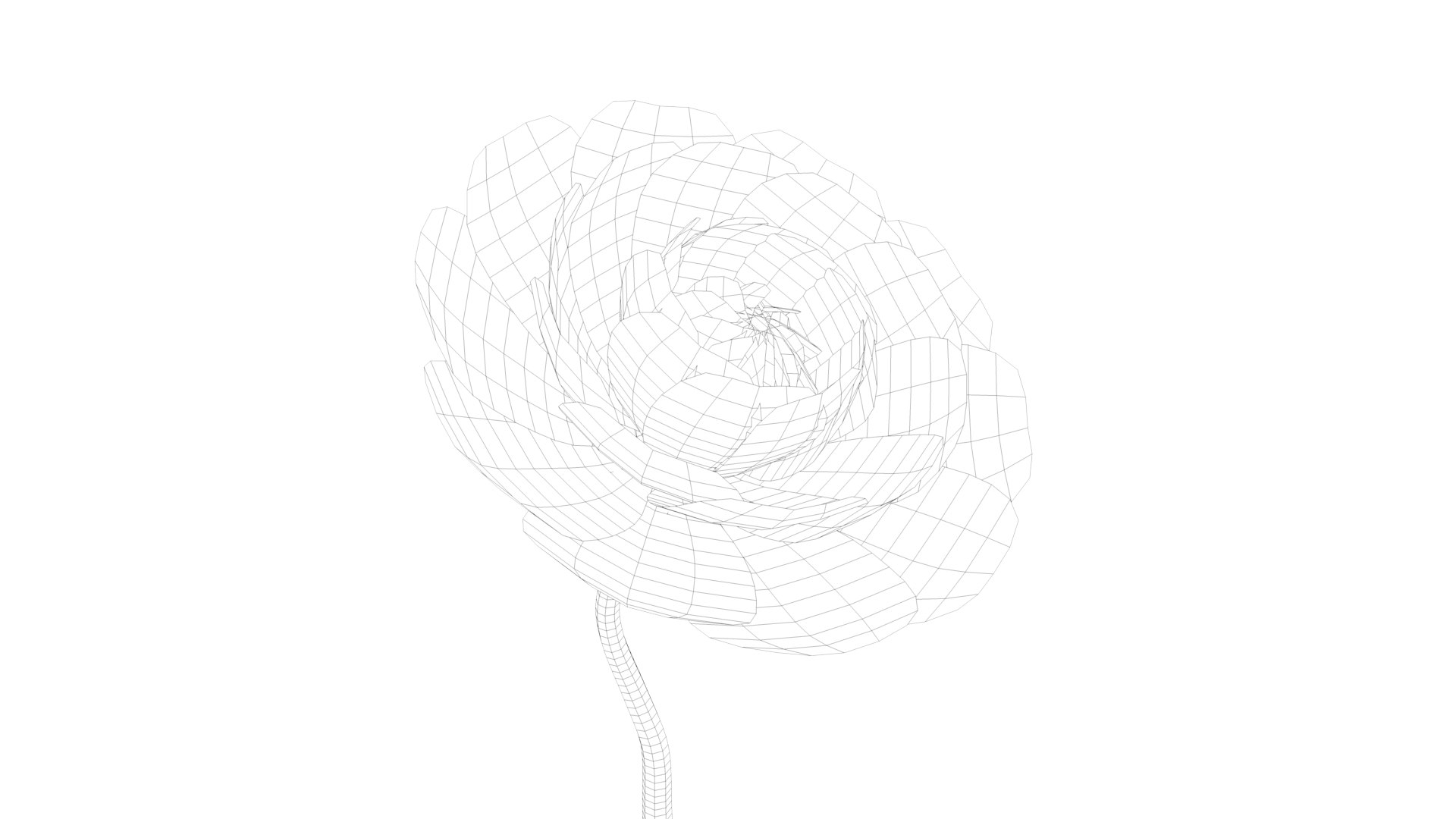 Animated Camellia Flower Bloom 3D https://p.turbosquid.com/ts-thumb/Ux/AnKhq4/Sv/cameliacell0001/png/1683350216/1920x1080/fit_q87/3a724dce825800fef9d947597c679fadd00f1e1a/cameliacell0001.jpg
