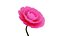Fioritura animata del fiore della camelia