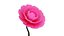 Animated Camellia Flower Bloom 3D