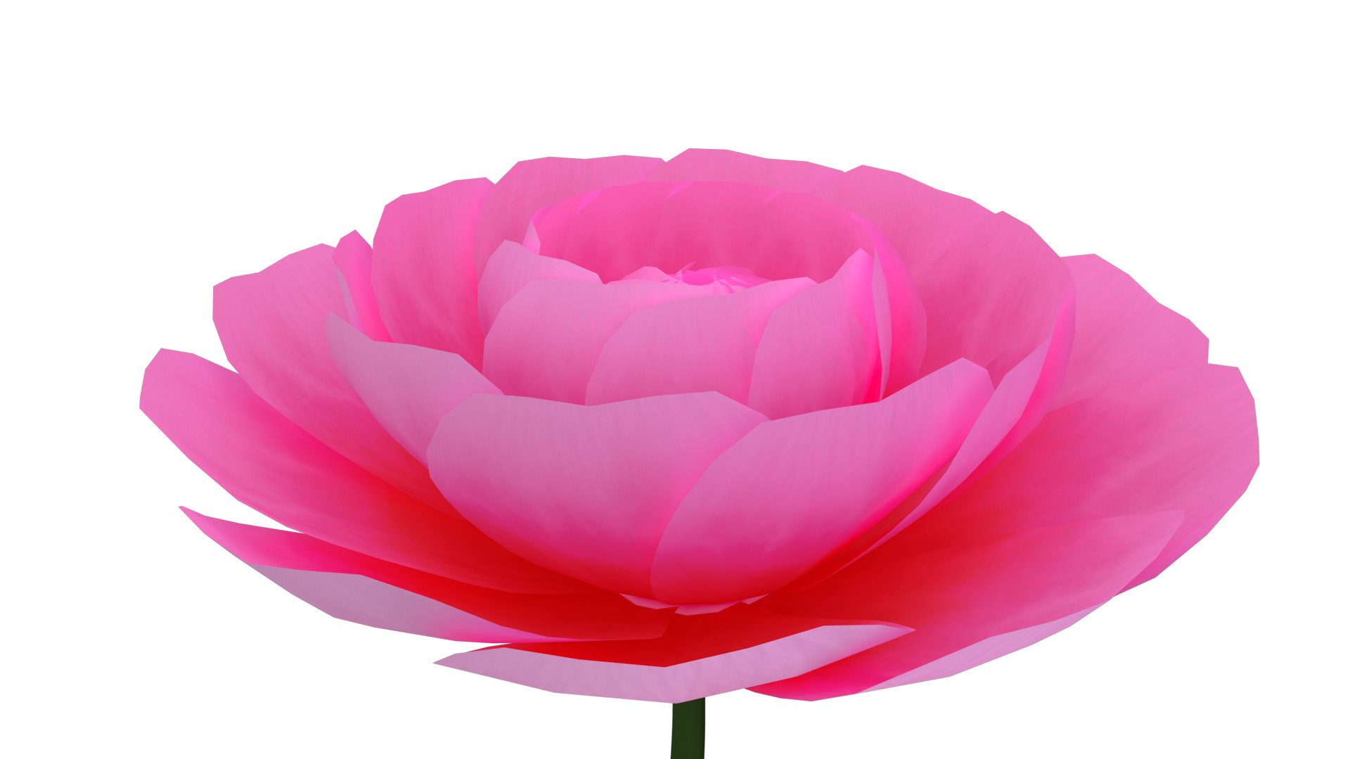 Animated Camellia Flower Bloom 3D https://p.turbosquid.com/ts-thumb/Ux/AnKhq4/oJ/cameliagallery0004/png/1683349835/1920x1080/fit_q87/0d3f1572bbf7752028cd52bc8a7709865174bcc2/cameliagallery0004.jpg