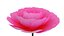 Animated Camellia Flower Bloom 3D