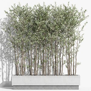 3D Plants collection 998