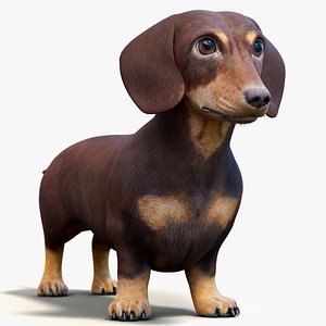 Dachshund Dog 3D