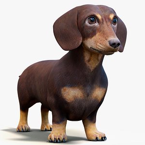 Dachshund Dog 3D