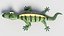 Baby Dino