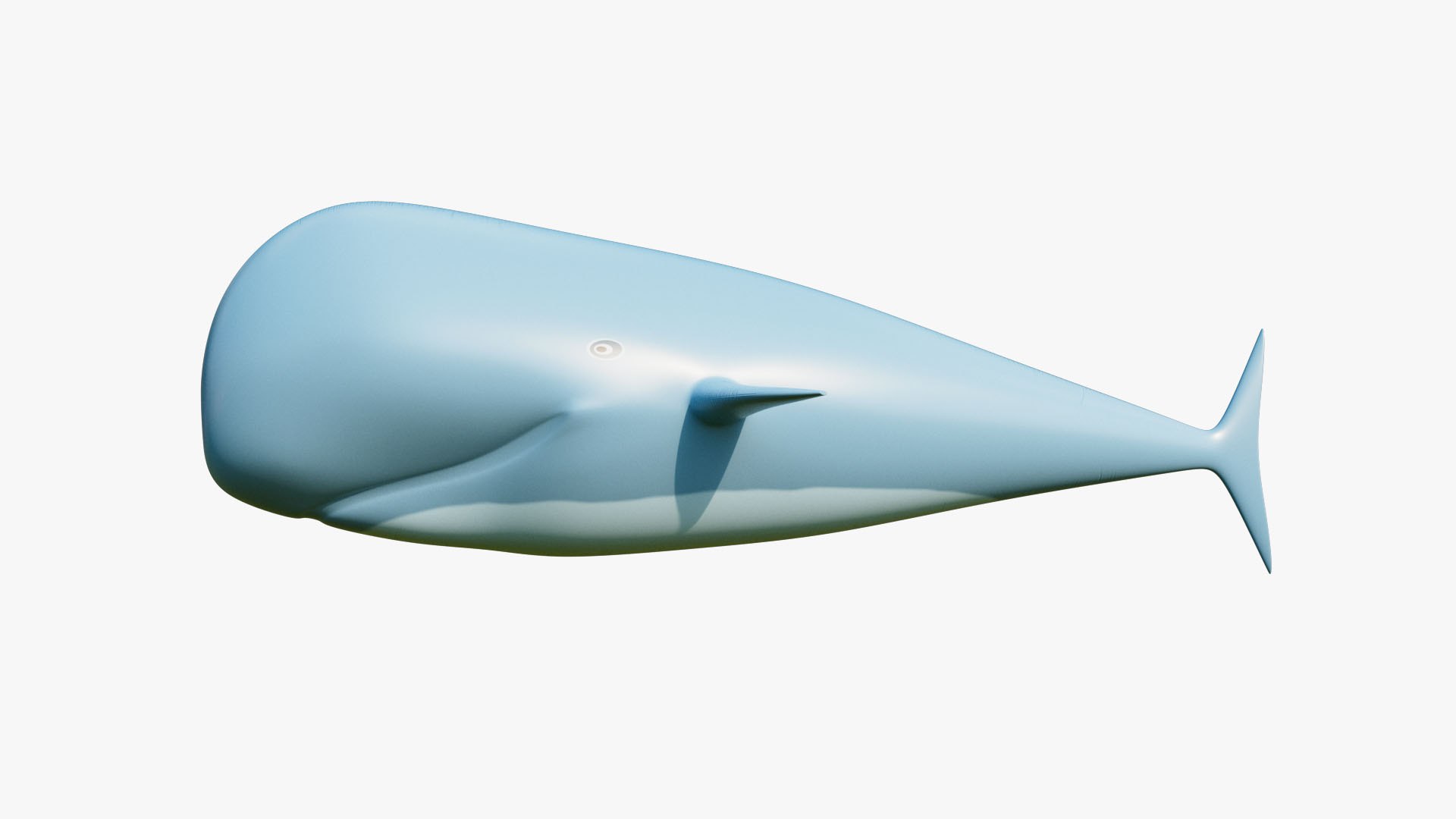 Sperm Whale Inflatable model https://p.turbosquid.com/ts-thumb/Ux/LSX0Rh/f0/z05/jpg/1707200566/1920x1080/fit_q87/44fde17ffff0da1f3b572886b86f21f801a0302b/z05.jpg