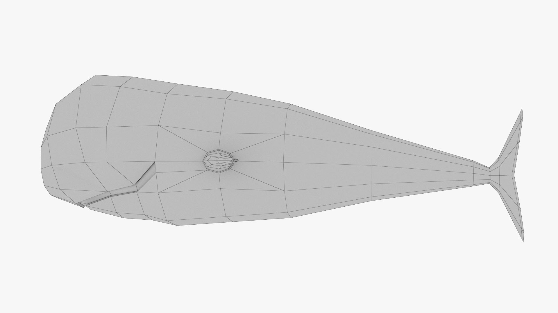 Sperm Whale Inflatable model https://p.turbosquid.com/ts-thumb/Ux/LSX0Rh/mG/11/jpg/1707200569/1920x1080/fit_q87/dfa9d91d4d2054e8639b3752fc6297221000ebc9/11.jpg