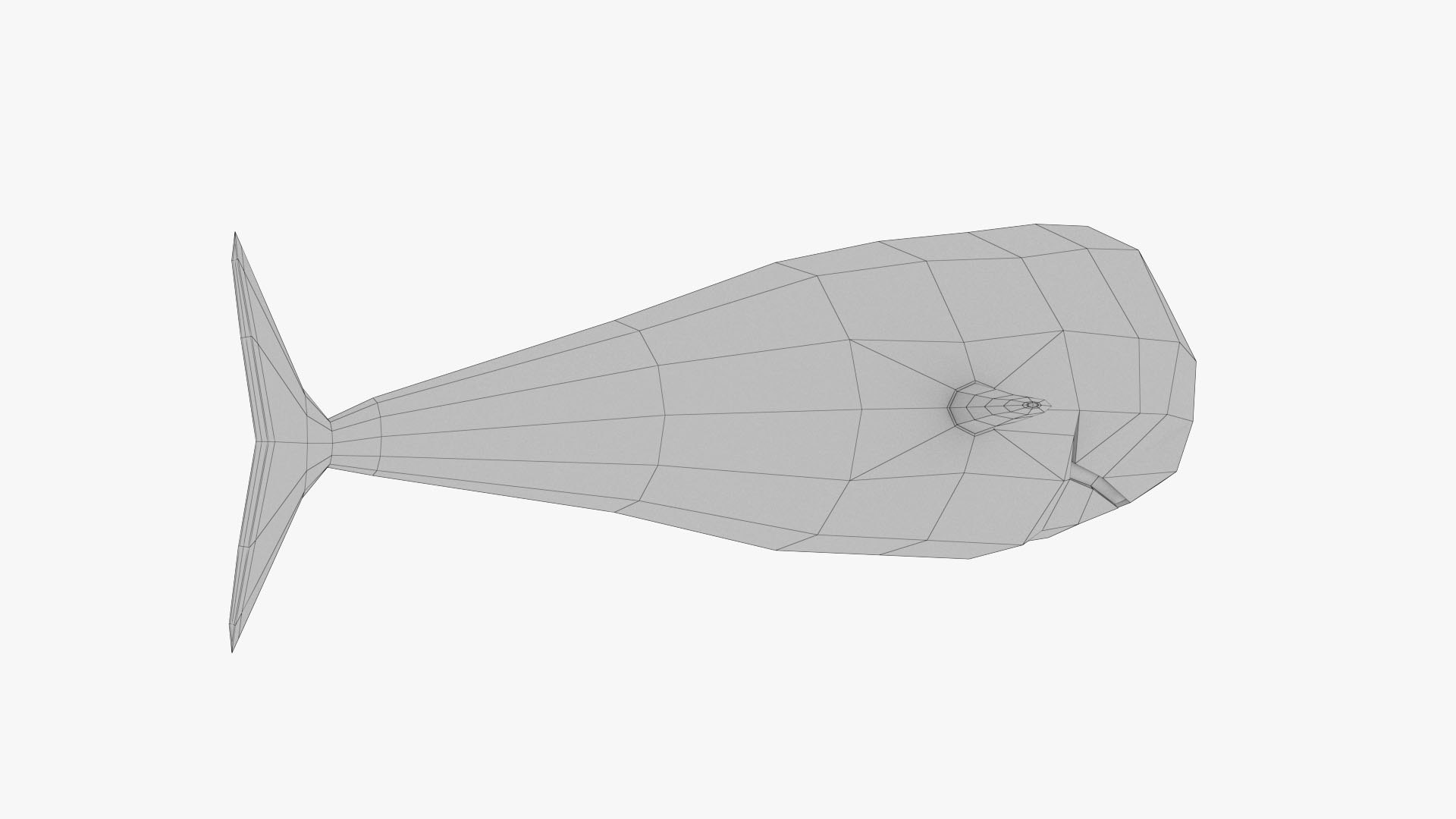 Sperm Whale Inflatable model https://p.turbosquid.com/ts-thumb/Ux/LSX0Rh/ri/z09/jpg/1707200568/1920x1080/fit_q87/10cfa90fd2450a33b273d041f2ebe13eea7ece6f/z09.jpg