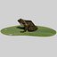 british frog 3d model