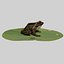 british frog 3d model