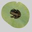 british frog 3d model