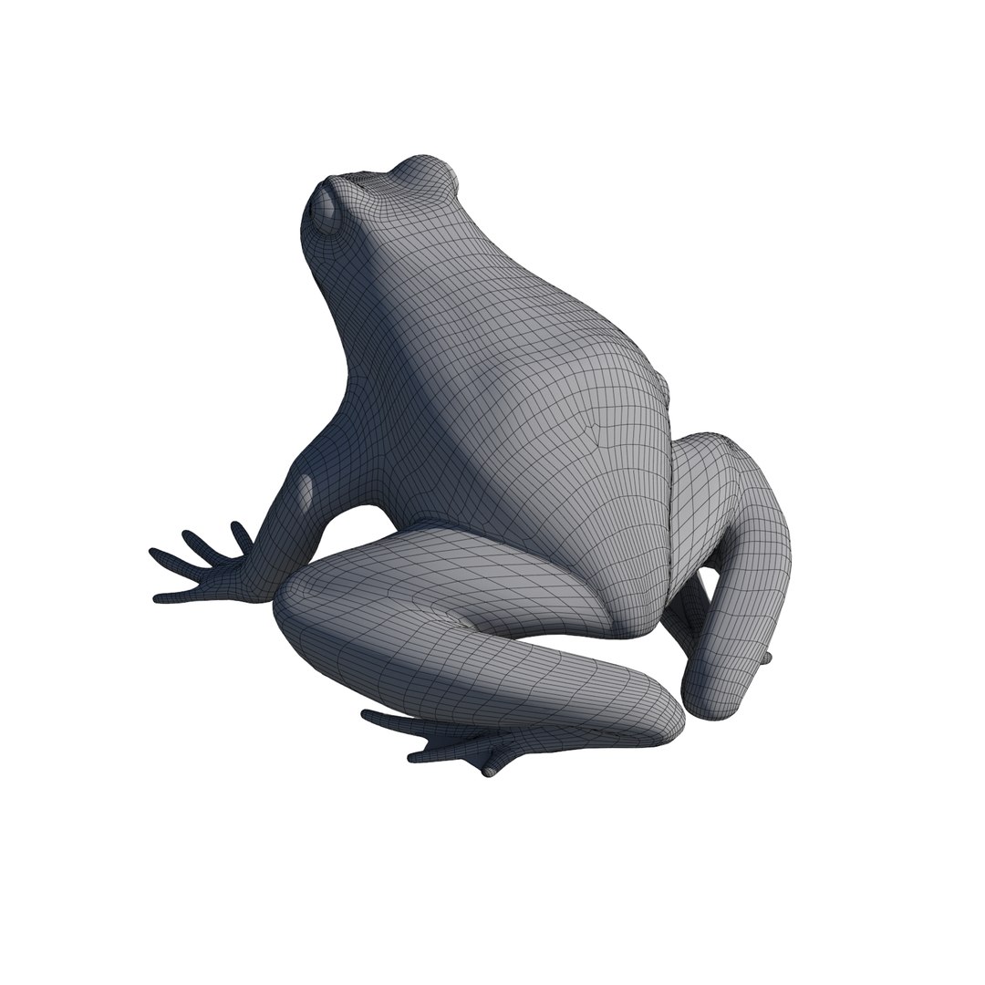 british frog 3d model https://p.turbosquid.com/ts-thumb/Ux/d1Vqlw/R51q8s97/frog11/jpg/1413033197/1920x1080/fit_q87/6ef1f6fb4de979b25e3ea15a6cc7a78e44626531/frog11.jpg