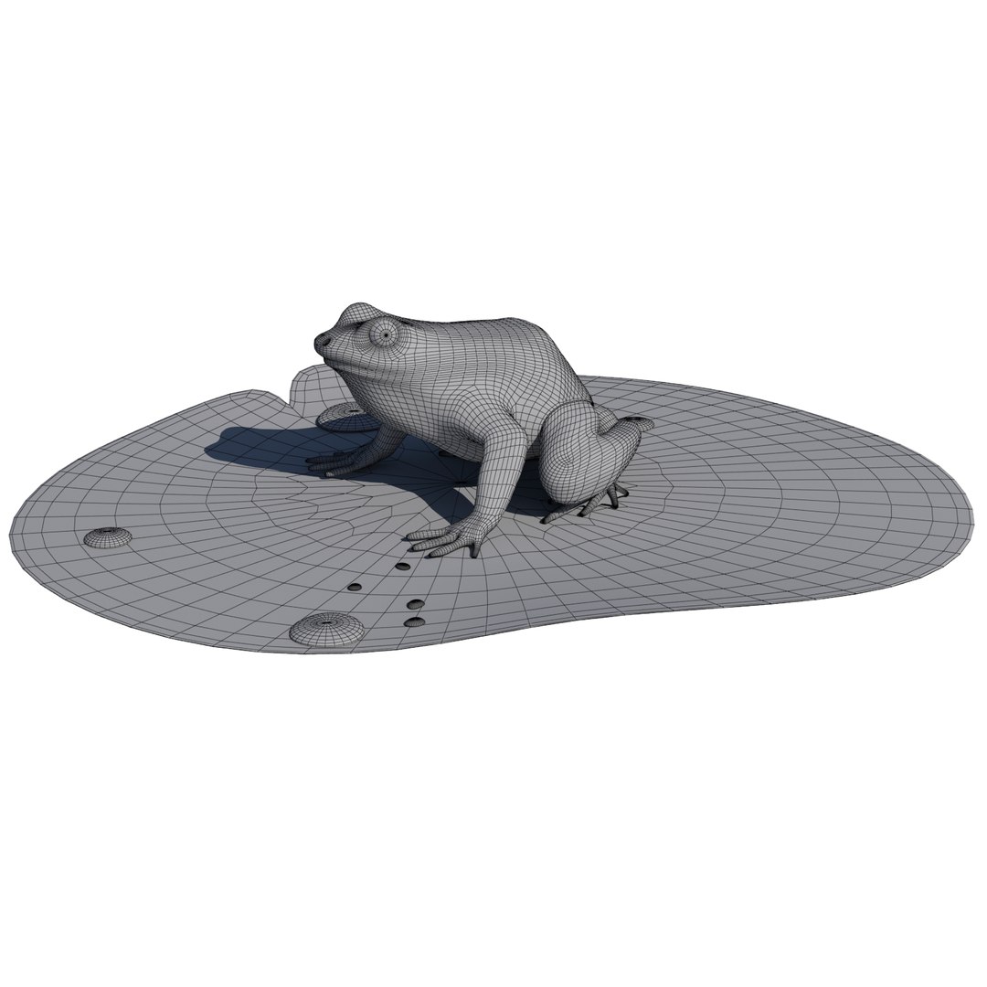 british frog 3d model https://p.turbosquid.com/ts-thumb/Ux/d1Vqlw/VRIz85kf/frog9/jpg/1413033197/1920x1080/fit_q87/57ef8599063e3ad8ac8141285dcdcc62f5706139/frog9.jpg