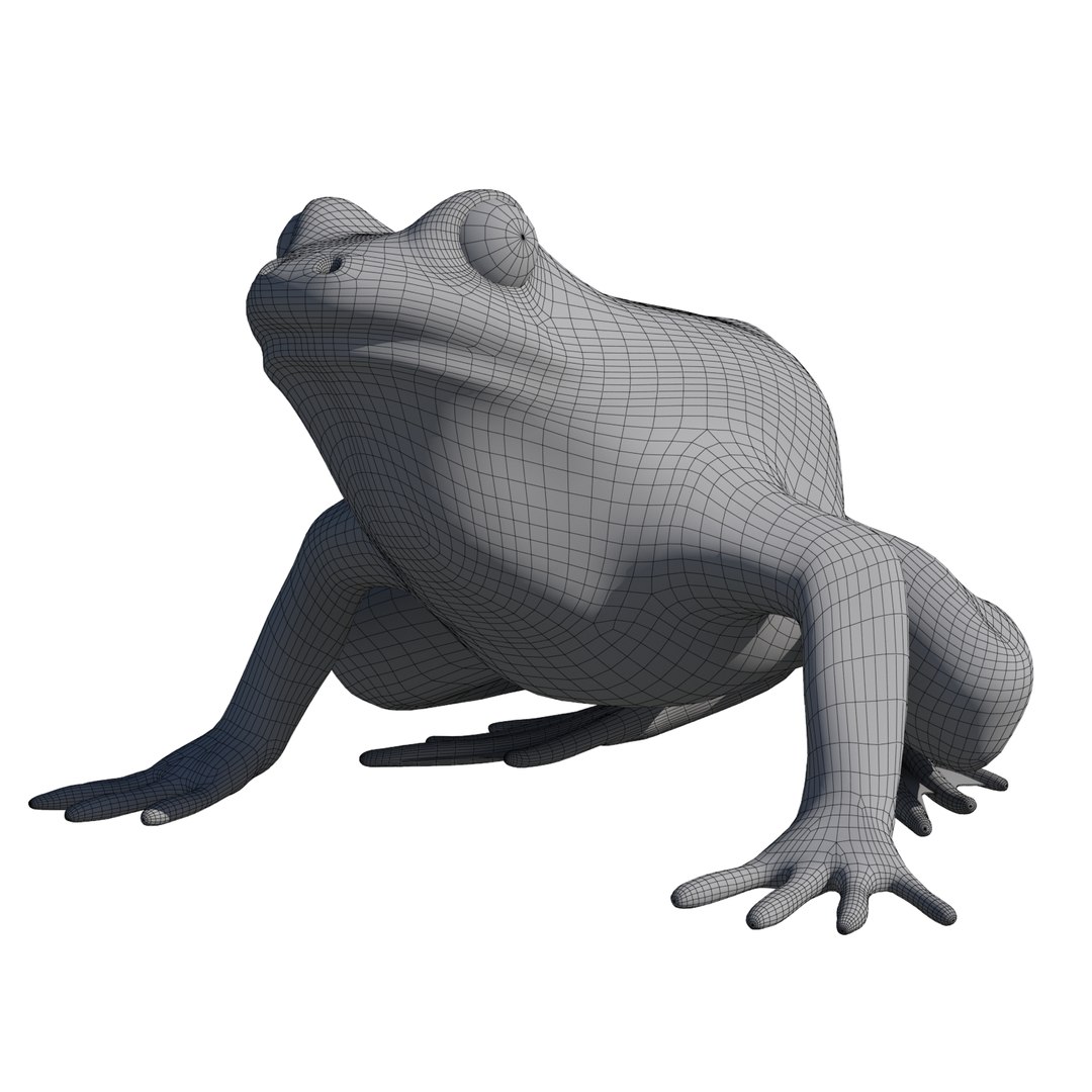 british frog 3d model https://p.turbosquid.com/ts-thumb/Ux/d1Vqlw/eq2vVJf8/frog10/jpg/1413033197/1920x1080/fit_q87/0971bc5e1db6a3d5cf21b661c5d642be706cc705/frog10.jpg