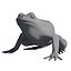 british frog 3d model