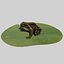 british frog 3d model