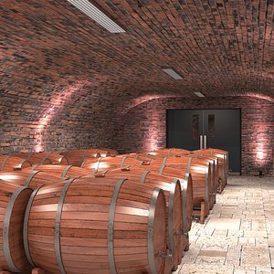 Wine Cellar 3D model