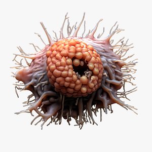 Cancer Cell Tumor 3D model