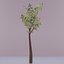 tree 3D model