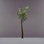 tree 3D model