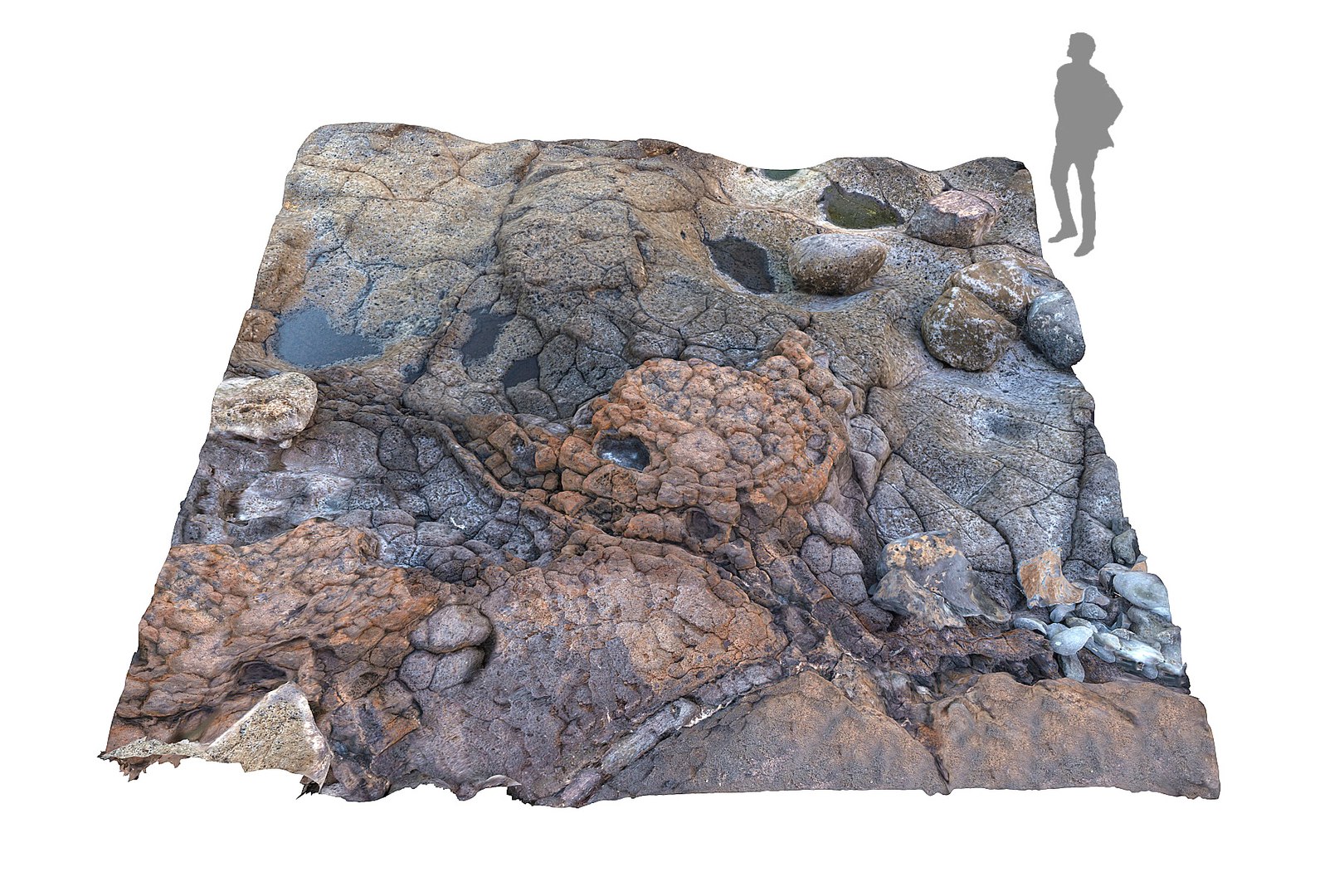 coral reef ground ultra 3d max https://p.turbosquid.com/ts-thumb/Ux/uZ8ZzZ/RZT5MrWM/6654/jpg/1435850007/1920x1080/fit_q87/fd6160c4207c42f10def3b38ef5ad694eba3dc1c/6654.jpg