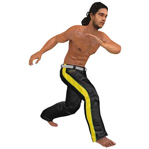 rigged capoeira 3D