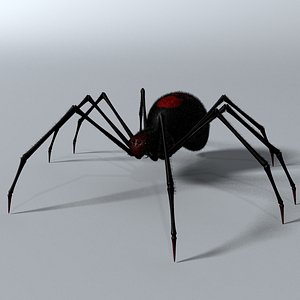 Black Spider RIGGED